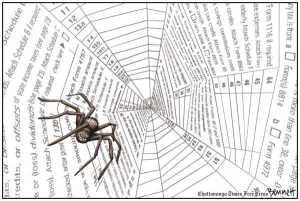 IRS Spider