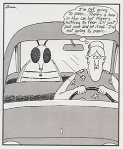 Larson-TheresABeeInTheCar