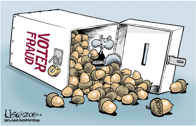 acorn-voter-fraud