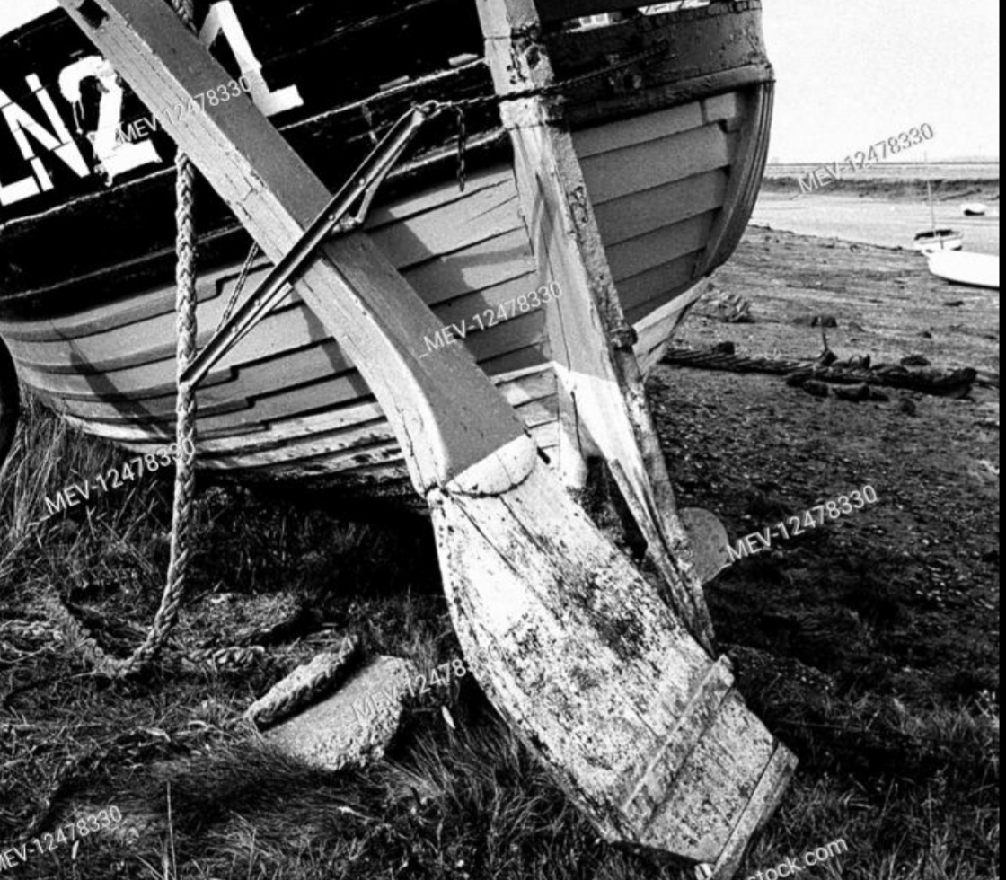 No Radar, No Rudder: Fiscal & Monetary Destabilization | Sacred Cow Chips